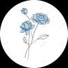 amyrod222